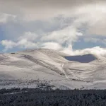 shutterstock 1658100217