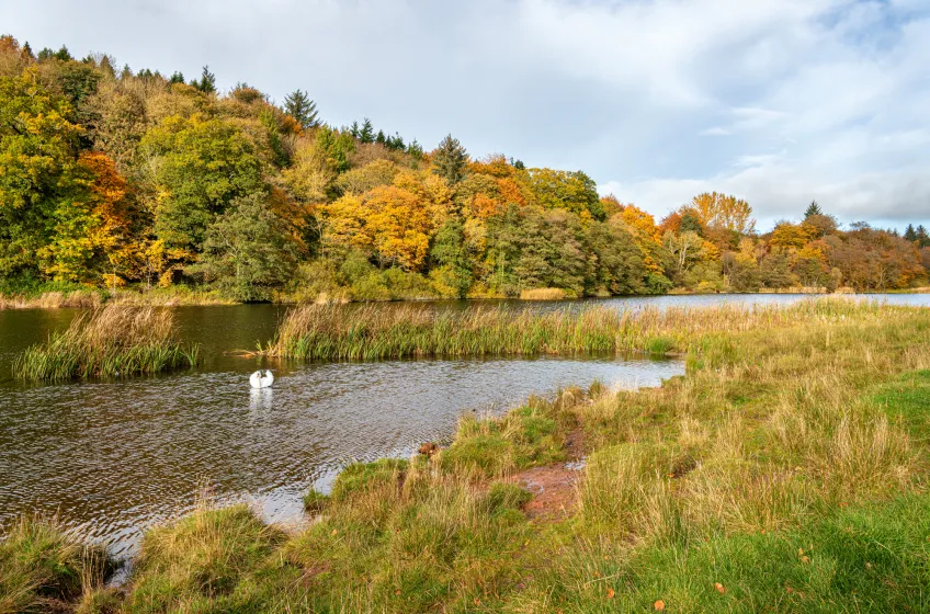 Hen Poo Loch, Duns Castle Estate