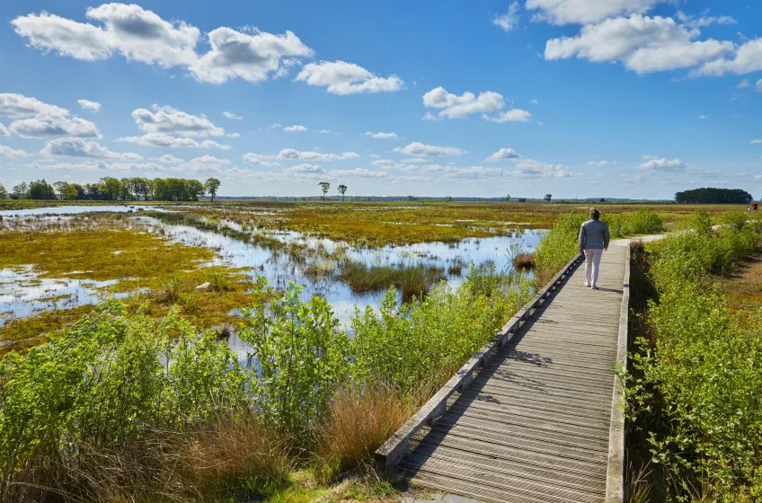 Drenthe, Dewingerdeveld National Park