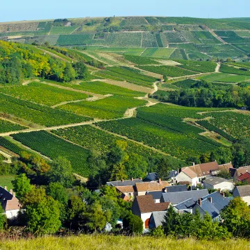 Sancerre