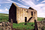 20016564.jpg