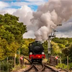 shutterstock 1225236469