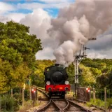 shutterstock 1225236469