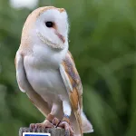 Screenshot2021 03 24at16