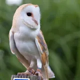 Screenshot2021 03 24at16