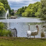 Shutterstock 639816898