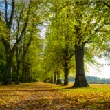 shutterstock 692912911