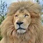 shutterstock 1622386987