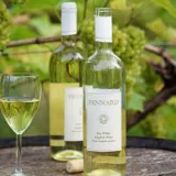 winepixbest1