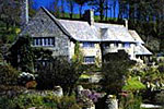 coleton-fishacre.jpg