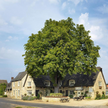 Cambridgeshire inns and pub accommodation