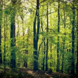 shutterstock 1408844315