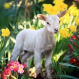 Screenshot2021 03 24at17