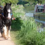 shutterstock 1086463634