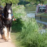 shutterstock 1086463634