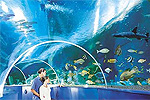 20010844.jpg