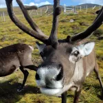 shutterstock 1289685892