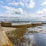 shutterstock 1196325211