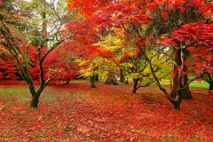 Shutterstock 522959026