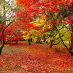 Shutterstock 522959026