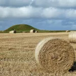 shutterstock 1393668500