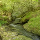 shutterstock 1593098503