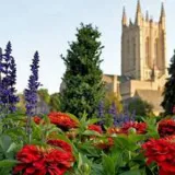 Abbey Gardens icon