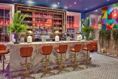 Tigerlily, Edinburgh
