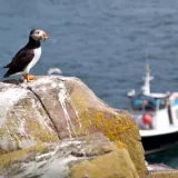 shutterstock 447553411