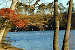 20011356.jpg