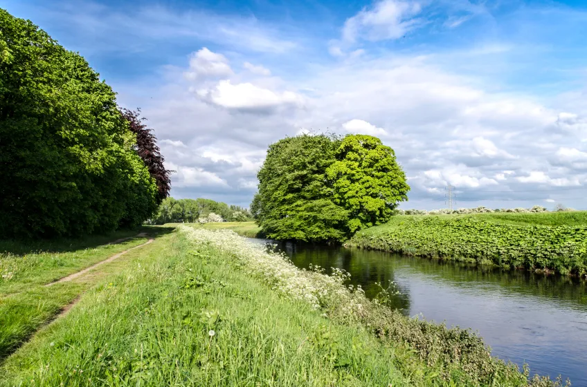 River Mersey, Cheadle
