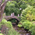 attraction pic 1 473