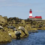 shutterstock 4498090