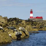 shutterstock 4498090