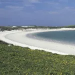 balranald spring 1006827 coral sand beach and dunes at rspb balranald nature reserve