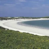 balranald spring 1006827 coral sand beach and dunes at rspb balranald nature reserve