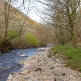 shutterstock 135251480