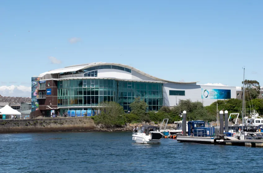 National Marine Aquarium
