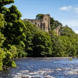 Shutterstock 1780166015