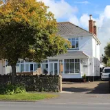 thistledene