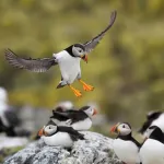 shutterstock 180103685