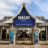 Shutterstock 2554904765