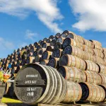 shutterstock 1033717579