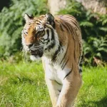 shutterstock 1087548269